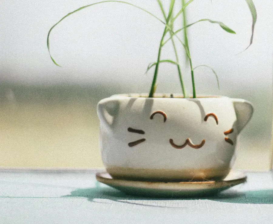 Unique gifts for cat lovers, showcasing thoughtful and creative items for feline fans