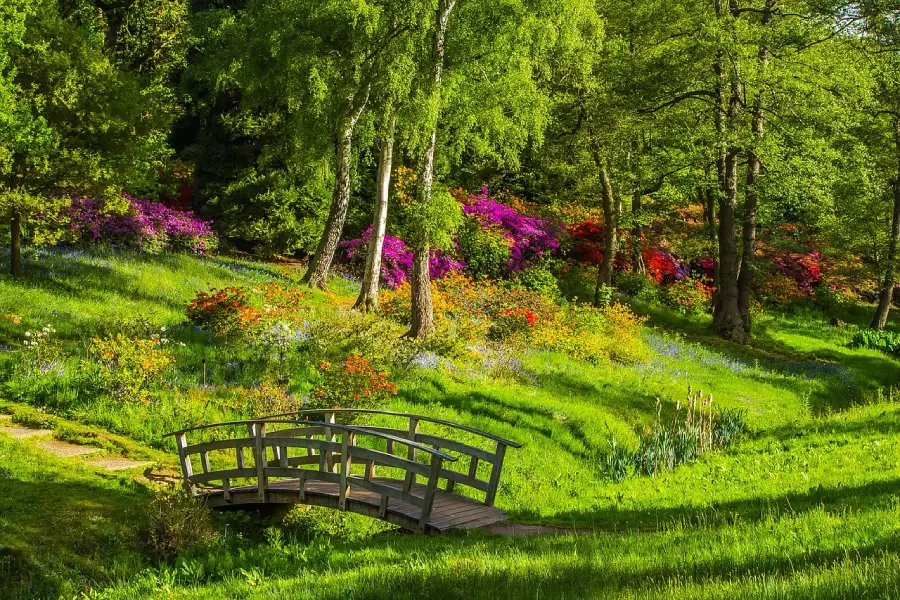 Best parks for couples in the USA - Stunning park landscapes perfect for romantic getaways.